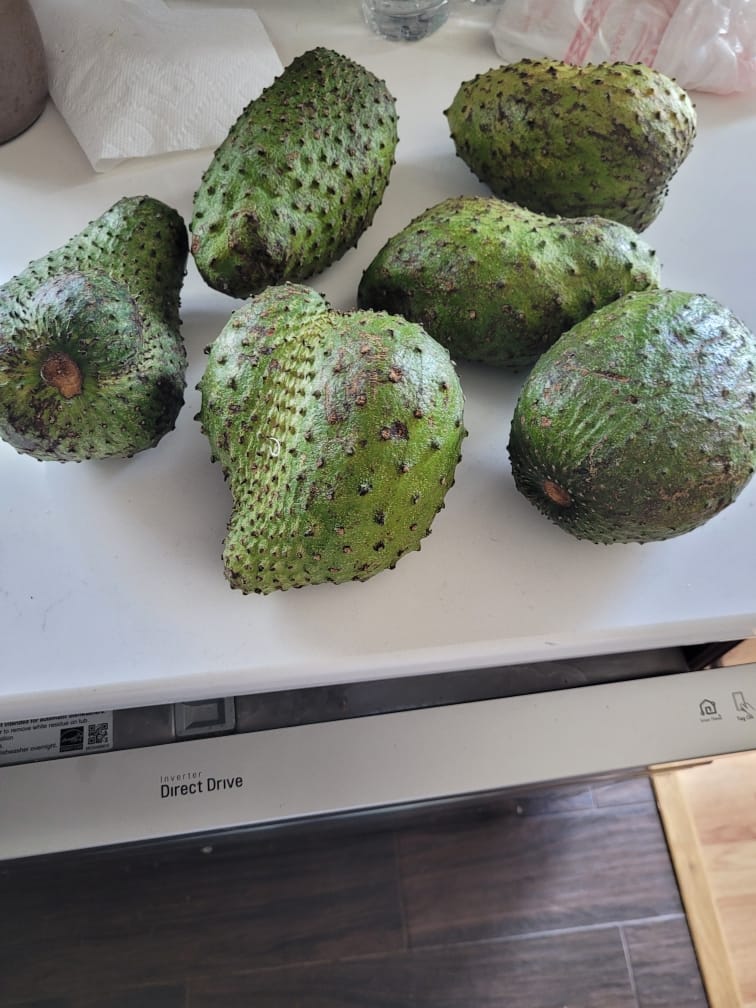 Customer photo review of Premium Soursop (Guanabana)