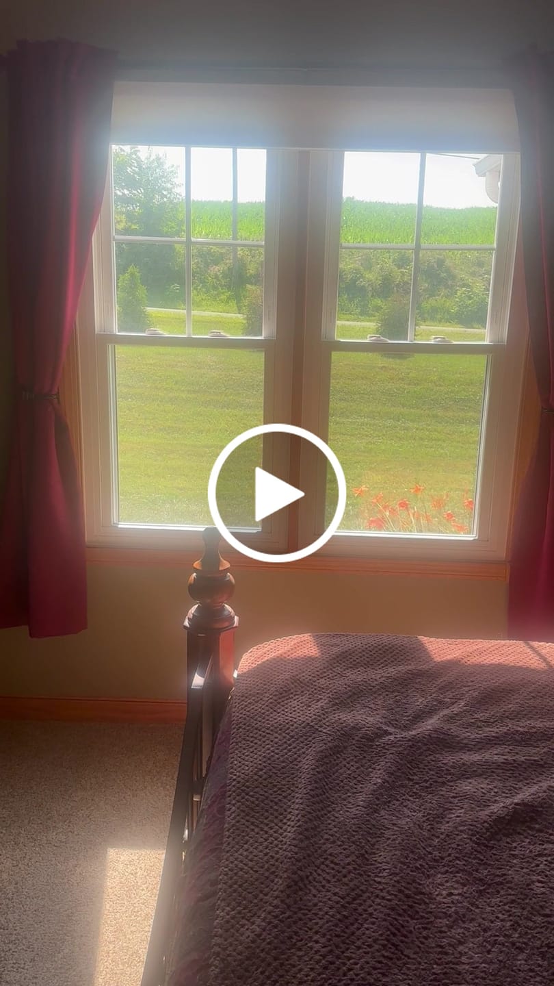 Customer video review of SmartWings Motorized Light Filtering Cellular Shades Nowa