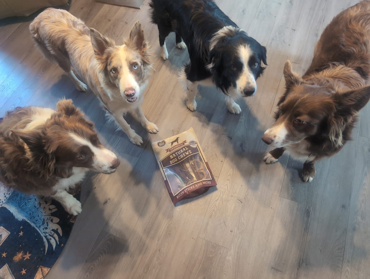 Customer photo review of Trail Mix