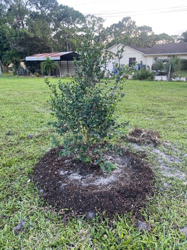 Customer photo review of Simpson Stopper