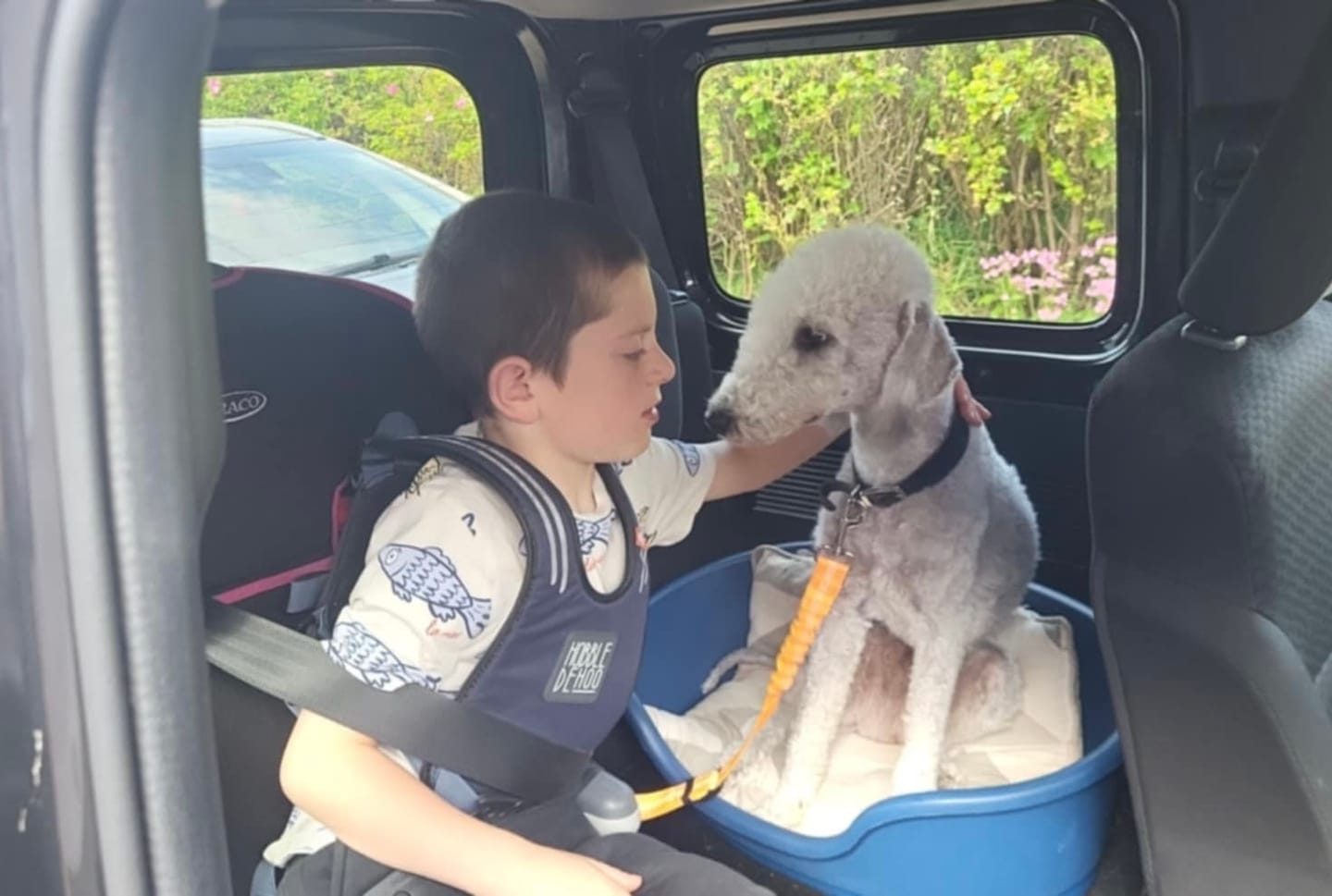 Customer photo review of MultiProtein Dry Puppy Food