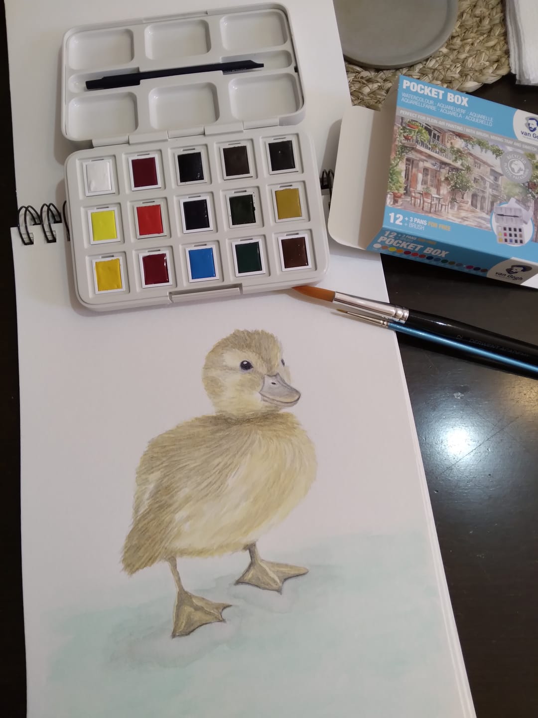 Customer photo review of Van Gogh Pocket Box - Set 12 + 3 Acuarelas Colores Básicos