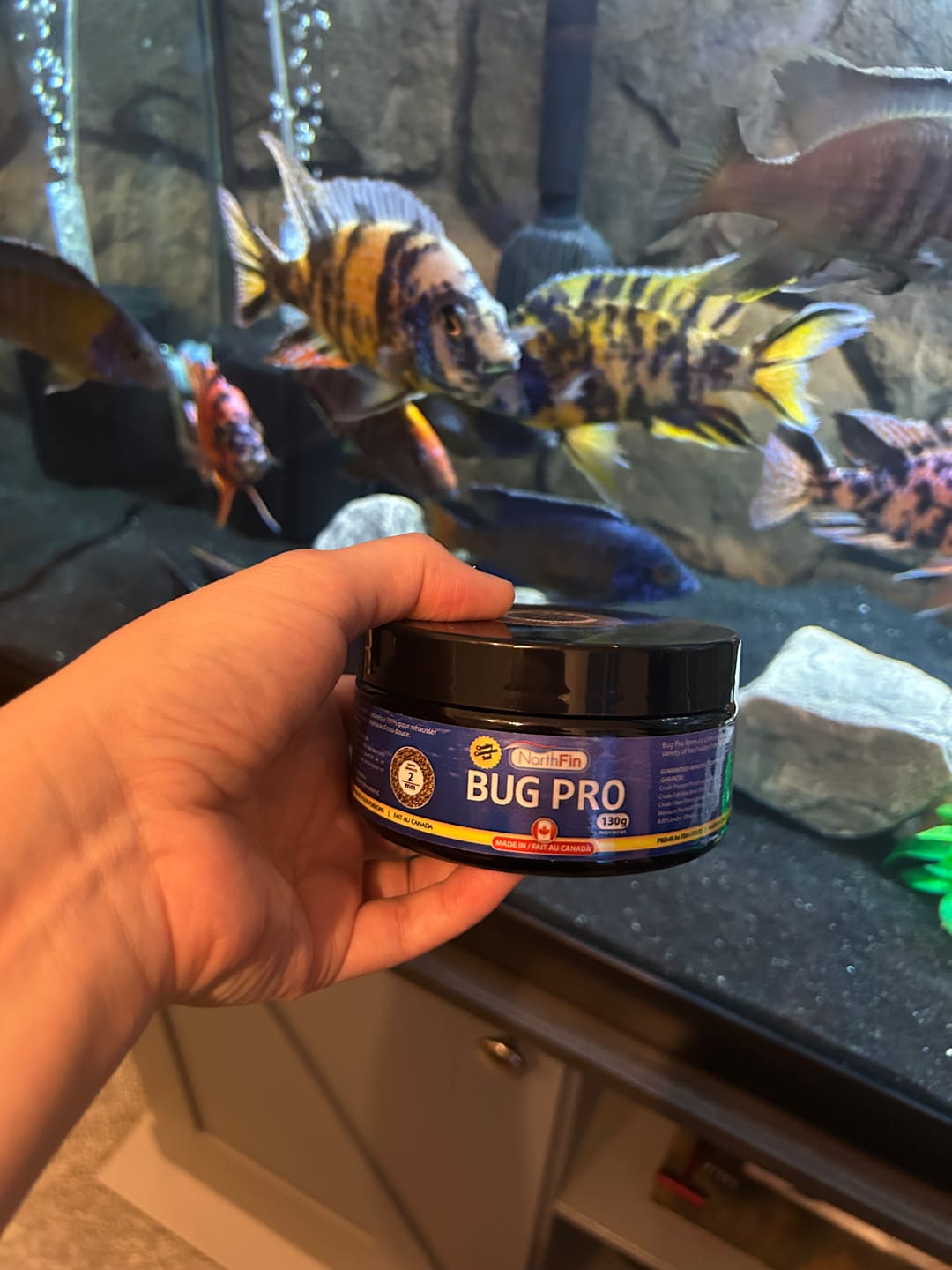 Customer photo review of Northfin Bug Pro