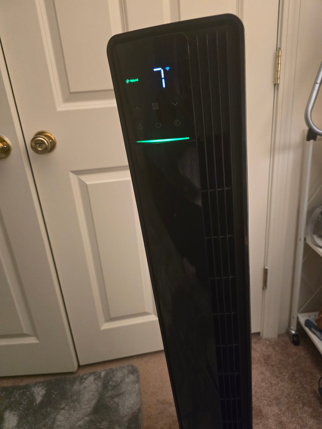 Customer photo review of DELLA 42" Ultra Quiet Smart Tower Fan with Voice/APP/Remote Control