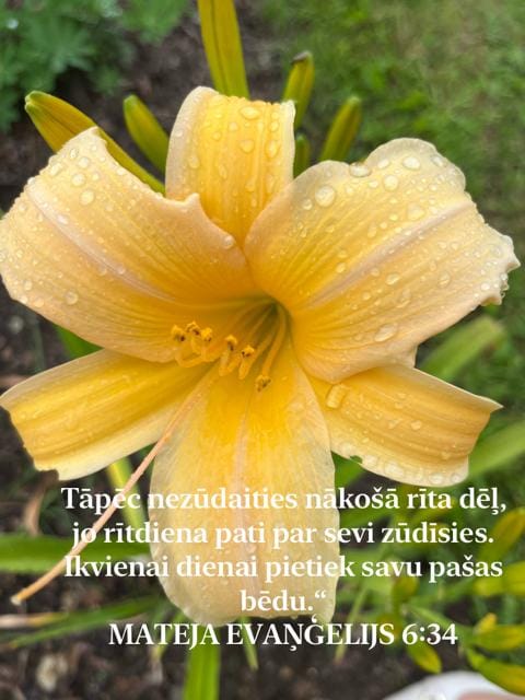 Customer photo review of Izgaismojoši patči ar peptīdiem Medi-Peel Hyaluron Dark Benone Peptide 9 Ampoule Eye Patch