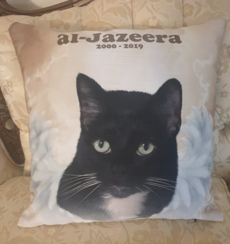 Customer photo review of Angel Wings - Custom Memorial Pet Cushion