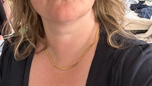 Customer photo review of Essentials Snake Chain Necklace