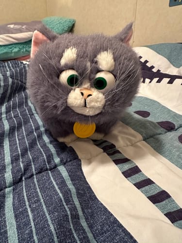 Customer photo review of Willa Plushie - The King of Kings