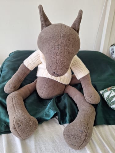 Customer photo review of PIOTR, LE LOUP - GRAND