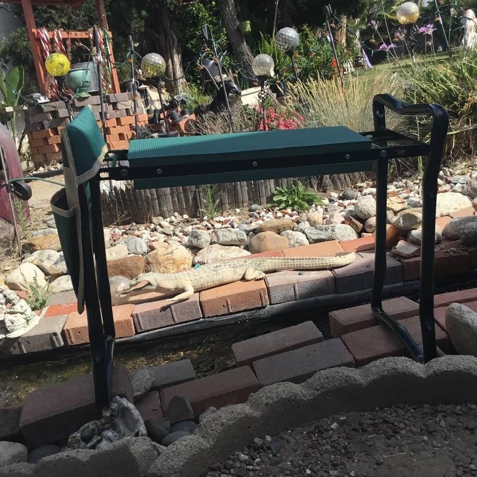 Customer photo review of GardenMate™ - Kneeler & Seat