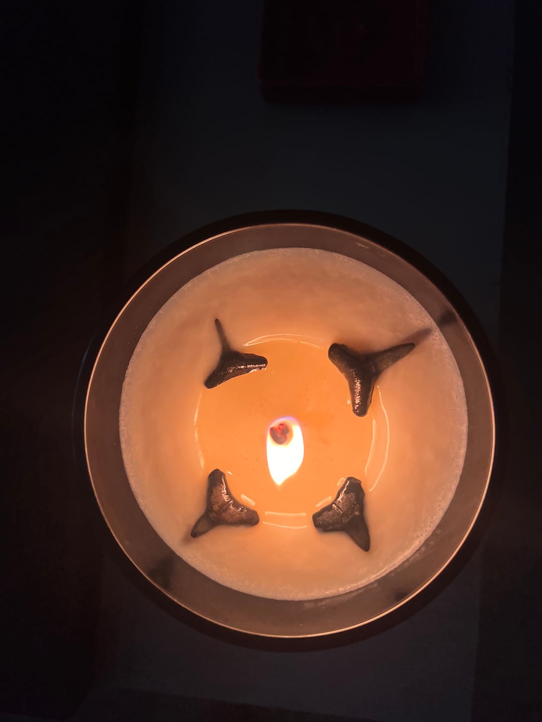 Customer photo review of The Original Shark Tooth Candle
