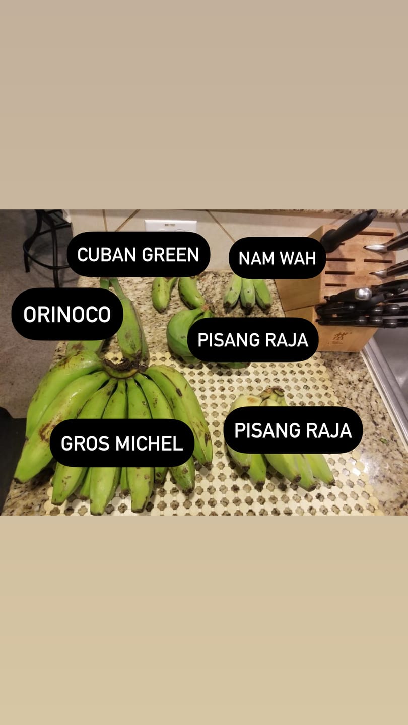 Customer photo review of Banana Variety Box