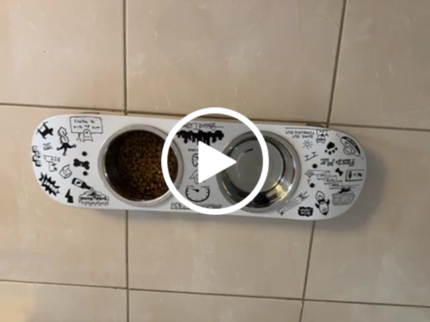 Customer video review of Doodle Skateboard Dog Bowl