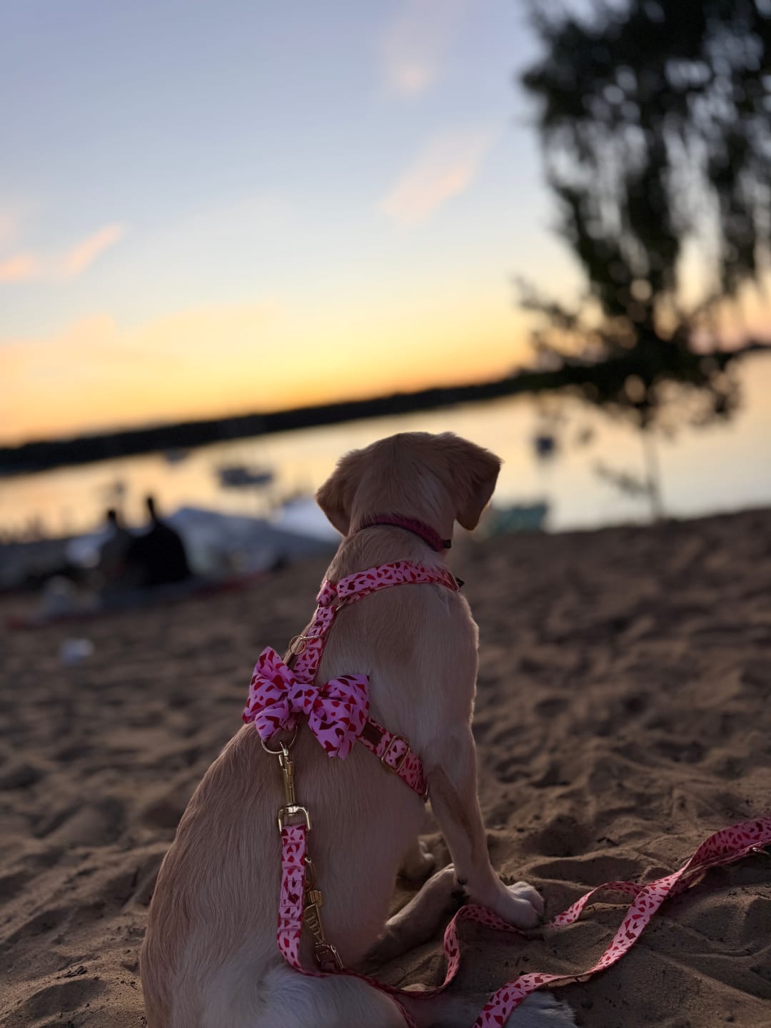Customer photo review of Szelki guard "Pink Terrazzo" - złote okucia