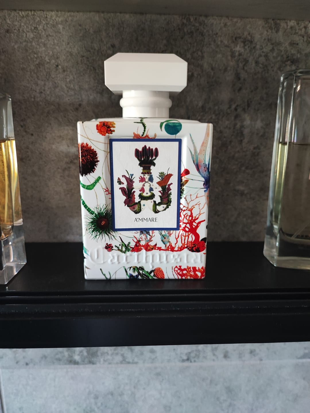 Customer photo review of CARTHUSIA - A'MMARE