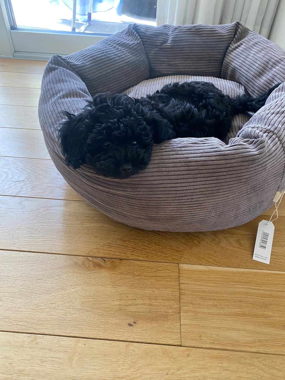Customer photo review of Staey - Luna 3.0 Hundeseng, Taupe Fløjl