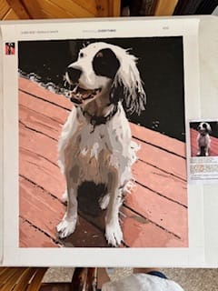 Customer photo review of Paint by Number Kit