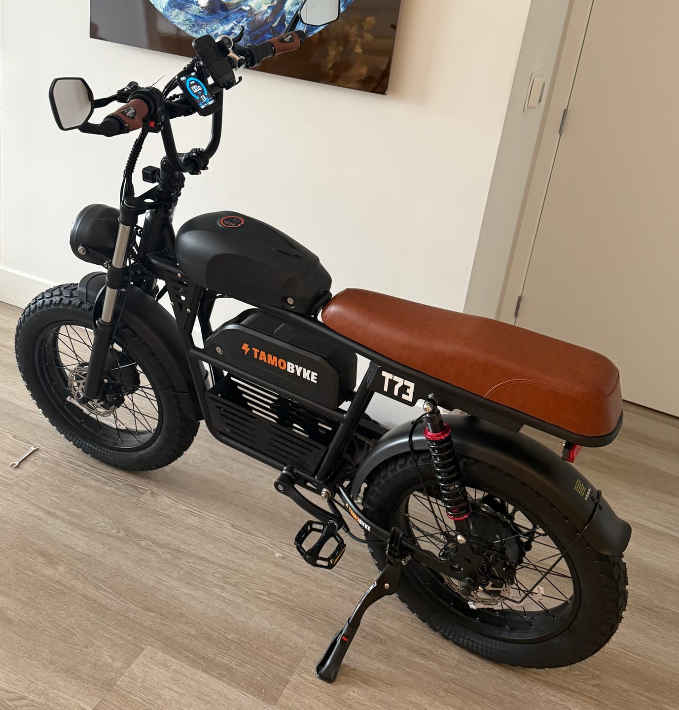 Customer photo review of Tamobyke T73 Pro Max Electric Bike