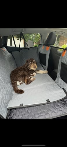 Customer photo review of Hard Bottom Seat Cover