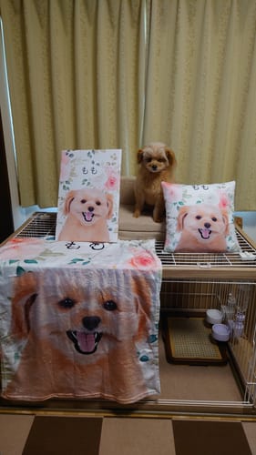 Customer photo review of Petcanva©オーダーメイド ペット似顔絵