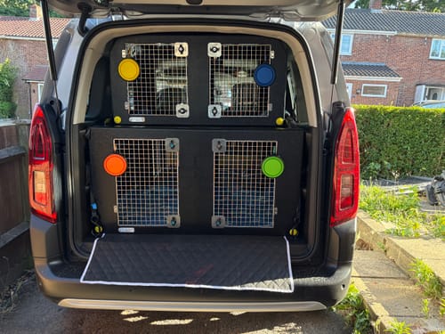 Customer photo review of Dog Van Kit | Citroën Berlingo | 2008-Present | Double stack | DT VS1