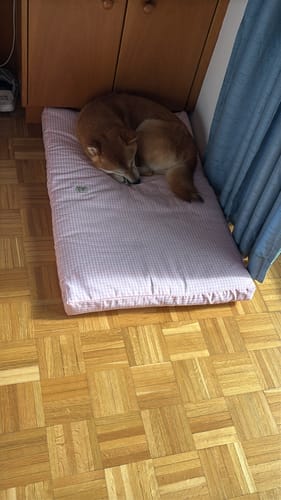 Customer photo review of Materassino Sfoderabile Vichy Rosa