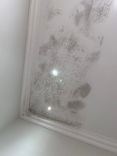 Customer photo review of GLASSGUARD® Miracle Mould Removal Gel