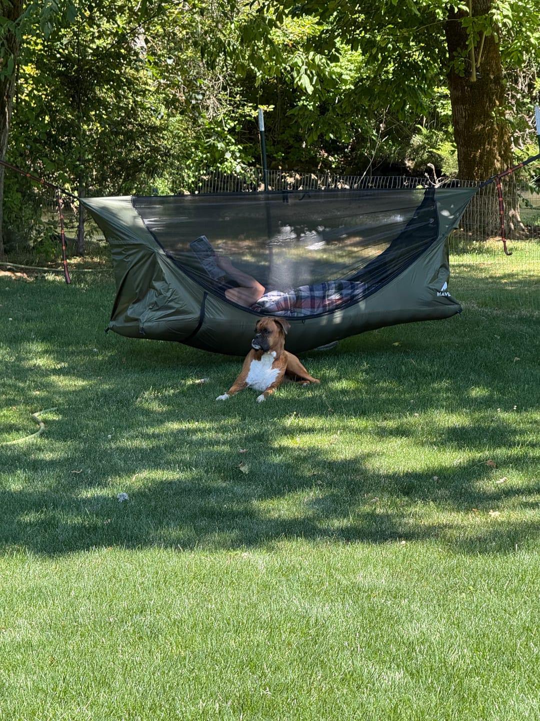 Customer photo review of Haven RidgeLight