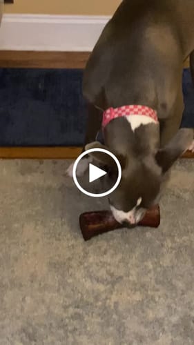 Customer video review of Smoked Beef Marrow Bone