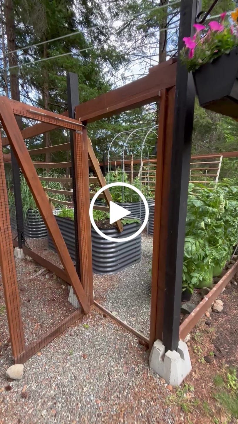 Customer video review of Arch Garden Trellis