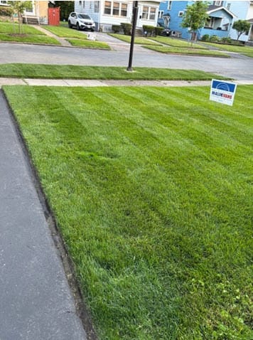 Customer photo review of GCI Turf Fe (Iron) 0-0-0