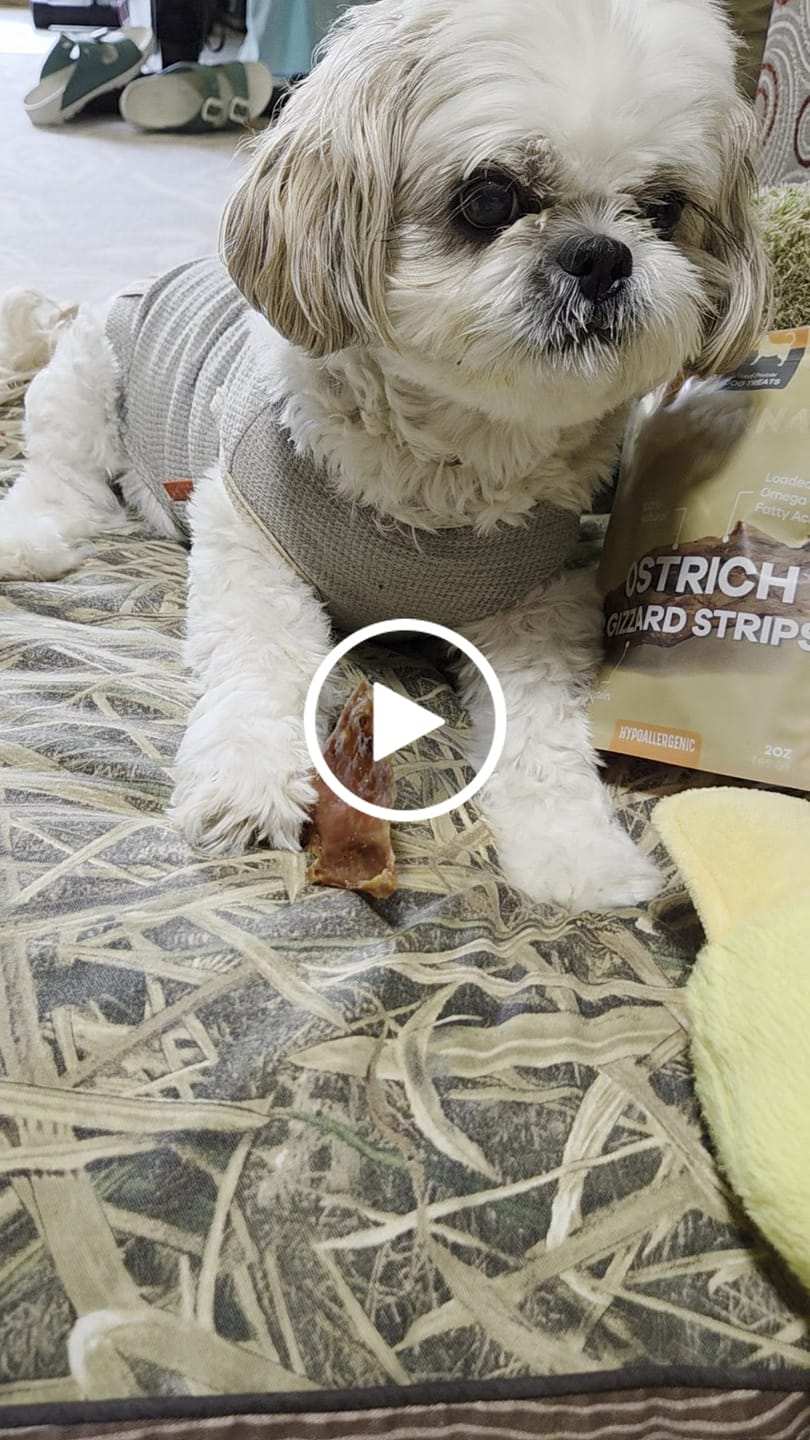 Customer video review of Chewy Ostrich Gizzard Strips: The Protein & Omega-3 Rich, Natural Dog Chew Treat