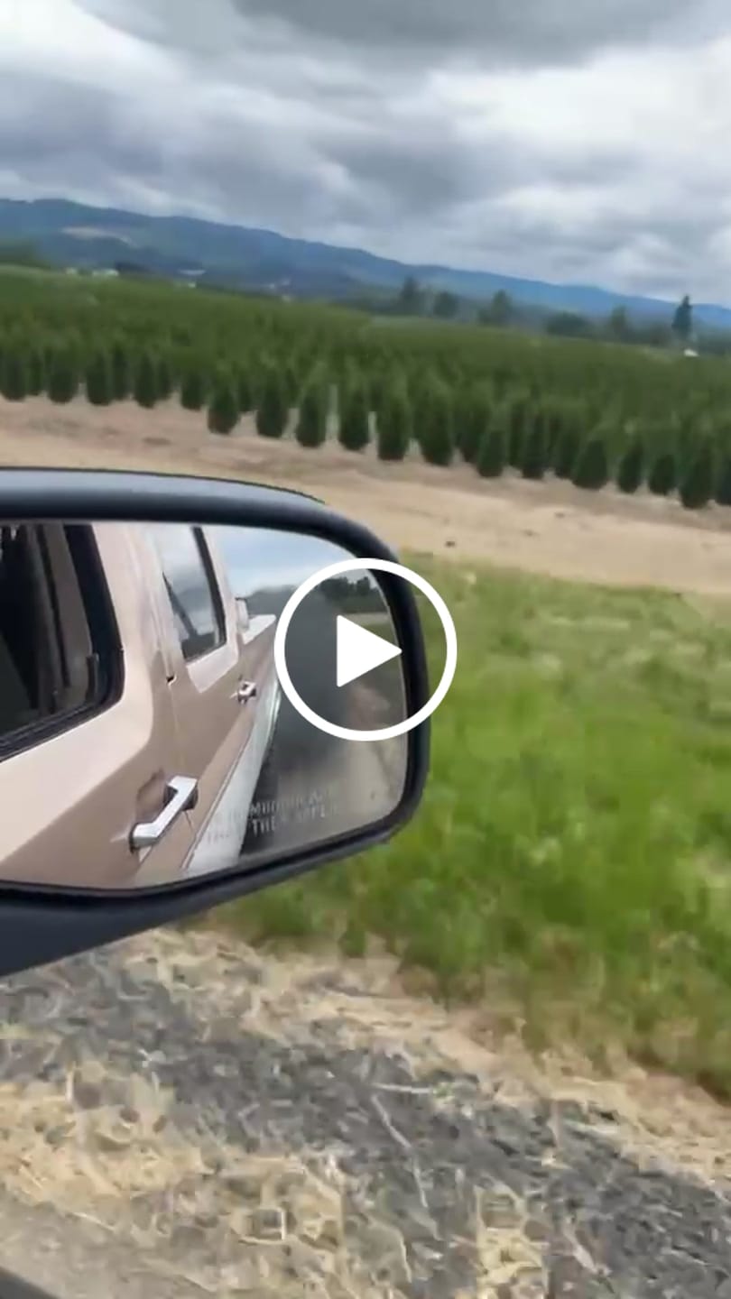 Customer video review of PHP Hydra Chip With JeliBuilt Tuning
