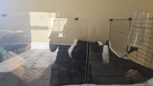 Customer photo review of Clear Acrylic C&C Panels