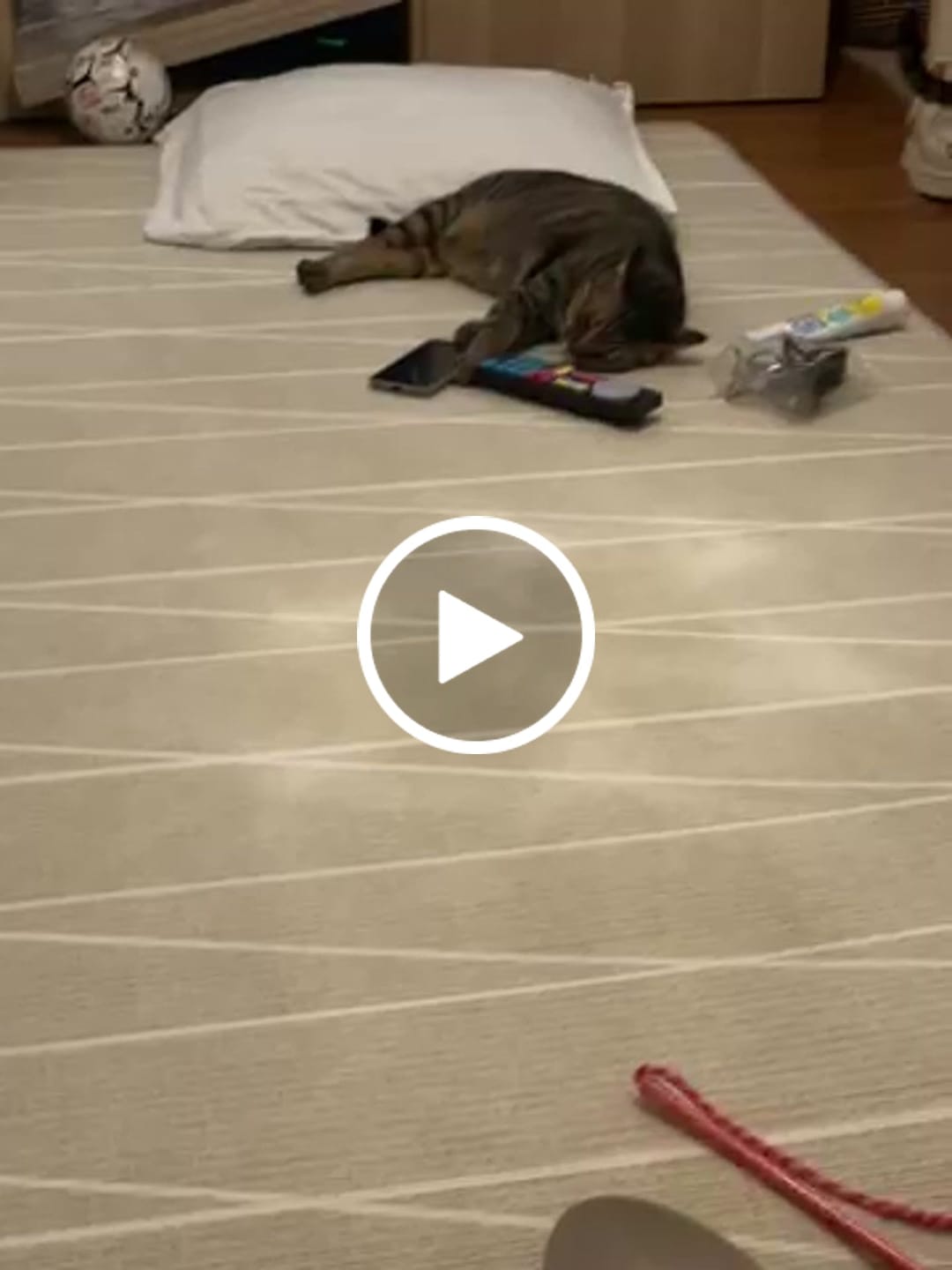 Customer video review of PARKLON エッジシルキーマット  150cm×150cm×1.5cm/150cm×200cm×1.5cm/230cm×150cm×1.5cm