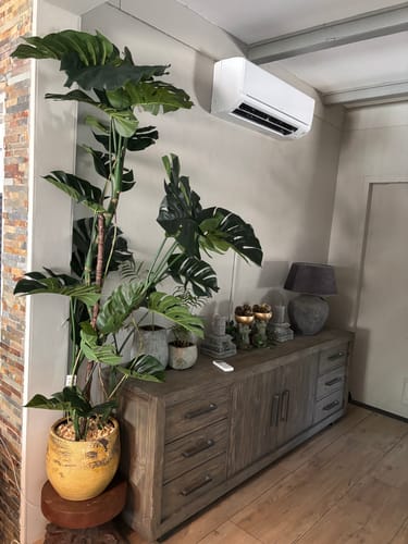 Customer photo review of Monstera Kunstplant 180cm