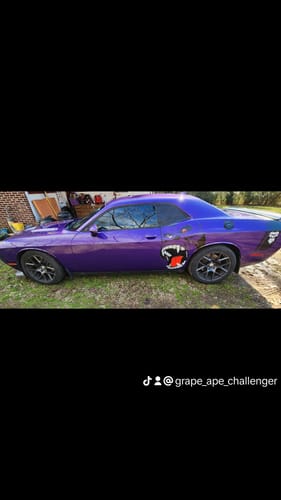 Customer photo review of Limlex® HydroShield X Coating Spray