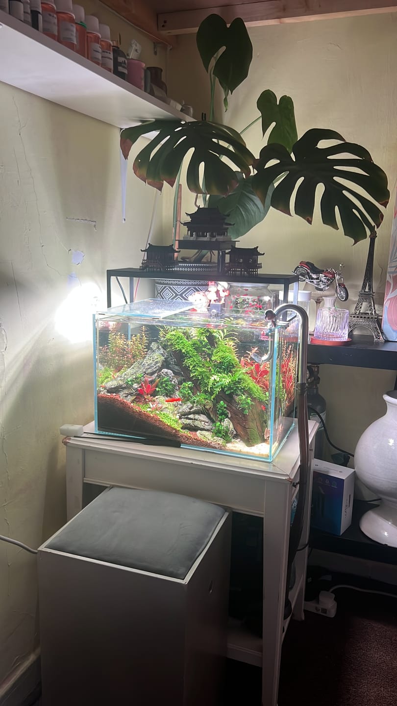 Customer photo review of Chihiros WRGB II Slim LED Light