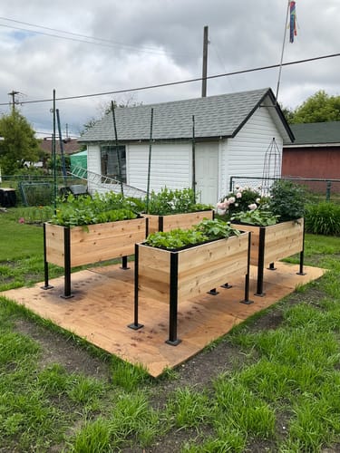 Customer photo review of 18" x 48" Raised Garden Bed - 30" TALL