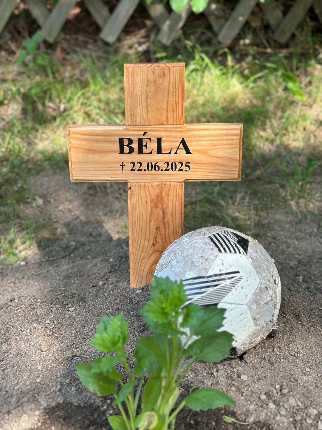 Customer photo review of Tier-Grabkreuz aus Holz mit Namen