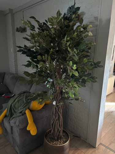Customer photo review of Ficus Liana Kunstplant 180cm
