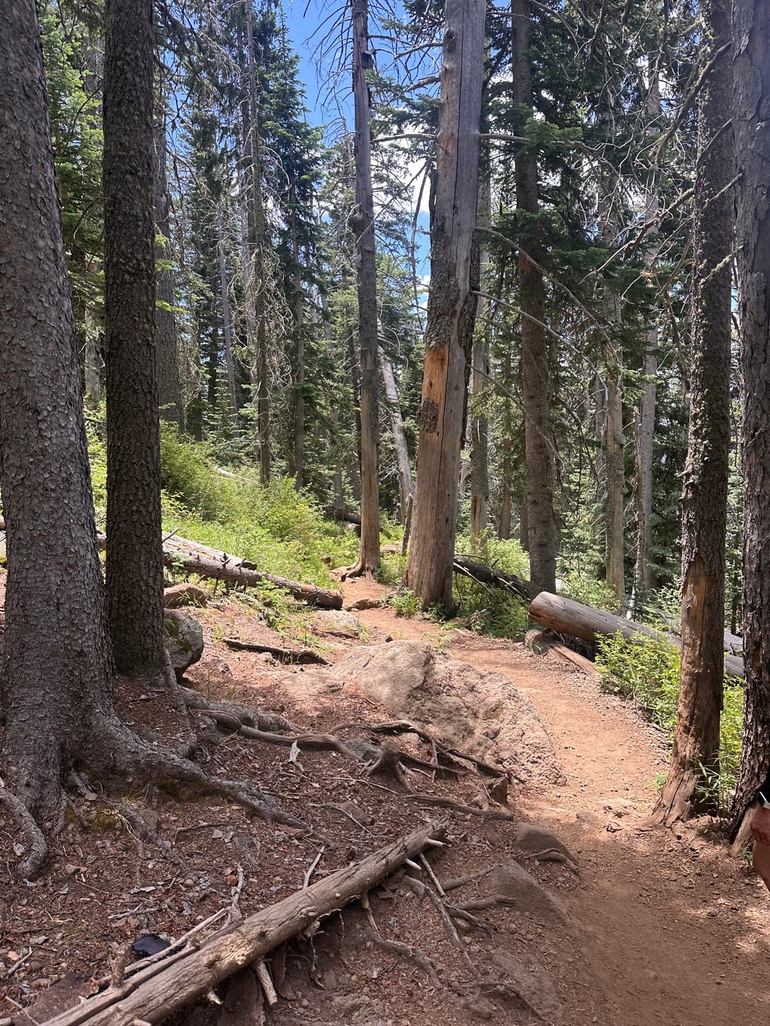 Customer photo review of Women's River Run Hoodie