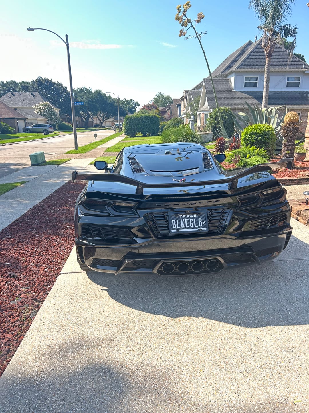 Customer photo review of Corvette C8 Z06 License Plate Backing