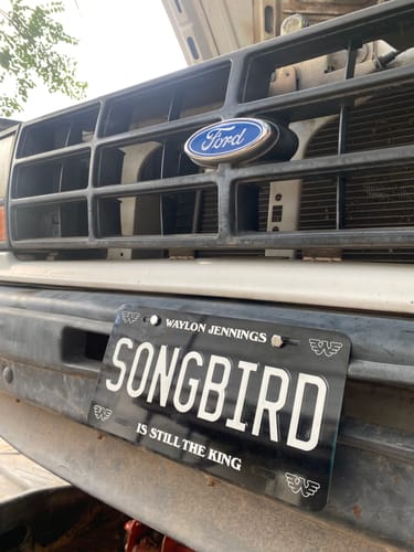 Customer photo review of Songbird B&W Vanity License Plate