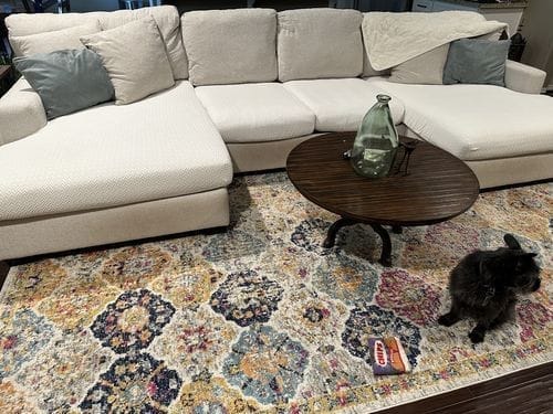 Customer photo review of Original Cushion Covers