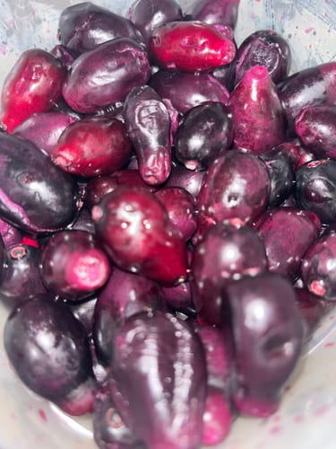 Customer photo review of Java Plum (Jamun) ***Pre Order***