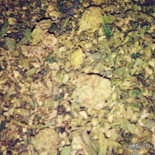 Customer photo review of Exotic Shake