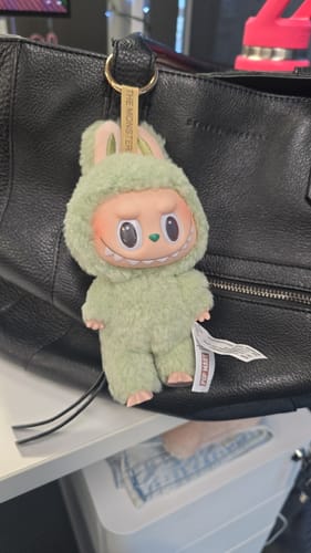 Customer photo review of Pop Mart Labubu The Monsters Tasty Macarons Vinyl Plush Pendant Single Blind Box