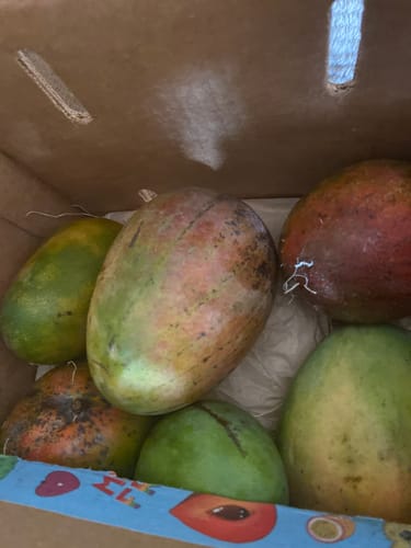 Customer photo review of Mango Mix Box