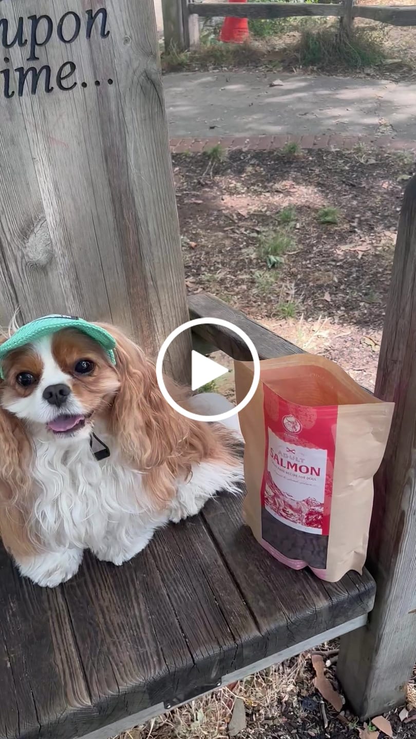Customer video review of Scottish Salmon Dry Food